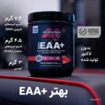 آمینو EAA پلاتینوم ماسل تک 05
