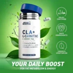 ال کارنتین ,سی ال آی و چای سبز اپلاید 02