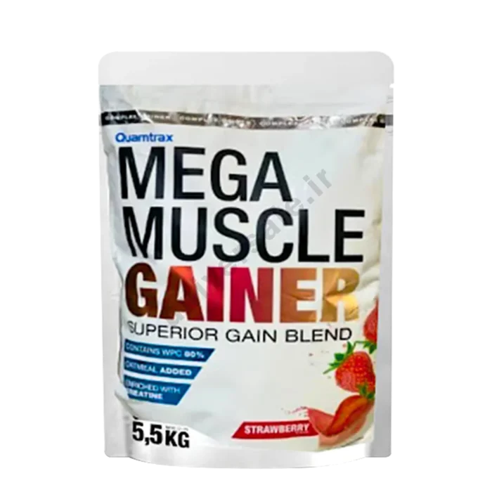 qu01-19 گینر مگا ماسل کوامترکس