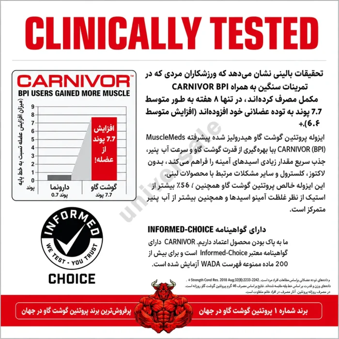 پروتئین بیف کارنیور ماسل مدز 02