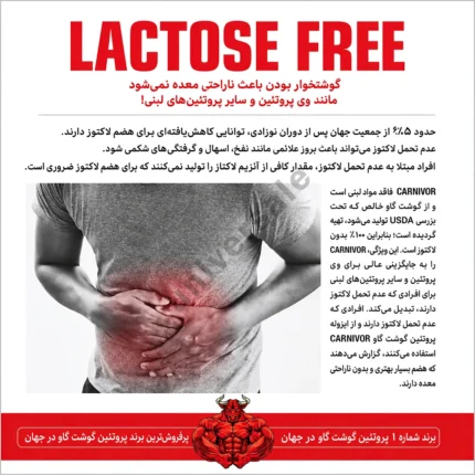 پروتئین بیف کارنیور ماسل مدز 03