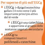 Now Foods EGCG