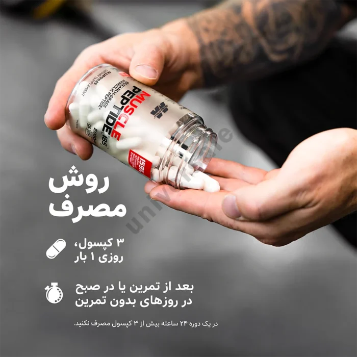 ماسل پپتید ماسل تک 04