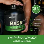 گینر سریوس اوپتیموم ناتریشن 05